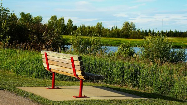 Régime cétogène et végétarisme : est-ce possible ?